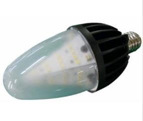 LED Security Light_Lamp_